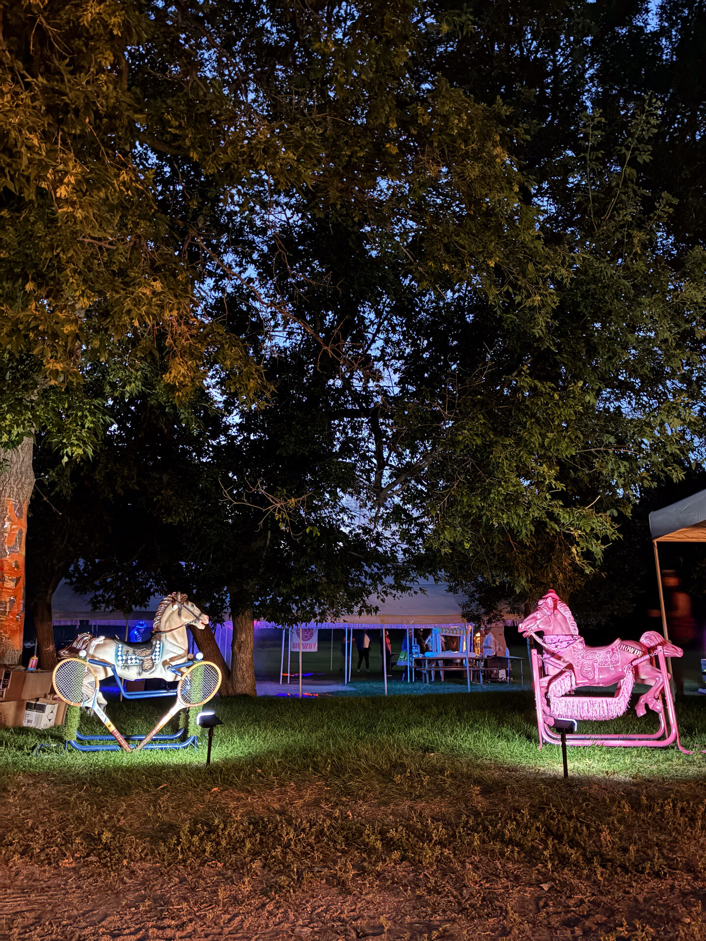 Adult Summer Camp — detail 2