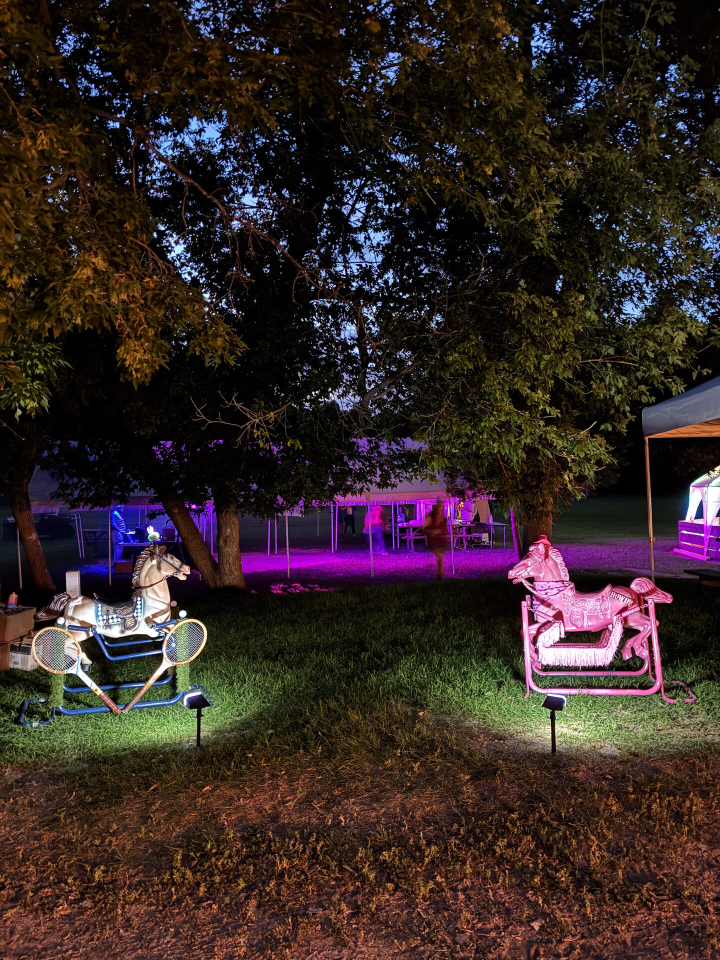 Adult Summer Camp — detail 3
